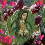 Margot Solano Perez - Facebook