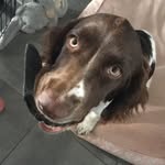 @margot_springer_x - Instagram