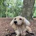 Margot Walker - Facebook