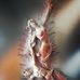 Margo Ward - Facebook