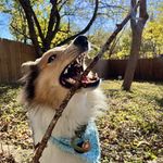 Margot Wolf - @margotslaps - Instagram