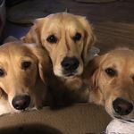 Margret Abbott - @margretabbott - Instagram