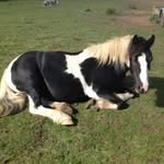 Margaret Ball - @margaret.ball.528 - Instagram