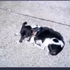 Margaret Barrett 1950 - @margaret.barrett58 - TikTok