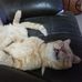 Margaret Barry - Facebook