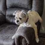 Margaret Barry - @margaretbarry172 - Instagram