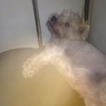 Margaret Barry - @barry_margaret - Instagram