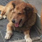 Margaret Barry - @marjentina_hi_lo_tech - Instagram