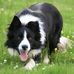 Margaret Barry - Facebook