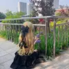 Margaret.Barry - @imabofpryto - TikTok