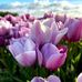 Margaret Butler - Facebook