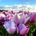 Margaret Butler - Facebook
