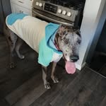Margaret Byrd - @margaretbyrd223 - Instagram