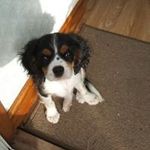 Margaret Cameron - @margaretcameron4625 - Instagram