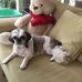 Margret Cameron - Facebook