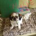 Margret Cameron - Facebook