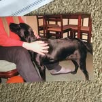 Margaret Carpenter - @margaret.carpenter.923519 - Instagram