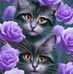 Margaret Carson - Facebook