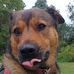 Margret Collins - Facebook