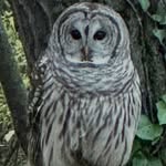 Margret Collins - @drmarg9 - Instagram