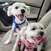 Margaret Gray - Facebook