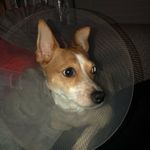 margret Lowe - @margaret_lowe123 - Instagram
