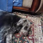 margaret manning - @margaretmanning49 - Instagram