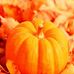 Margaret McDaniel - Facebook