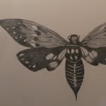 Margaret Meadows - @margaret_meadows_art - Instagram