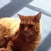 Margret Meier - @margretmeier - TikTok