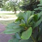Margret Meyer - @meyermargret1955 - Instagram