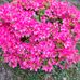 Margret Meyer - Facebook