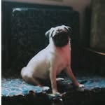 Margret Michael - @margretmichael8 - Instagram