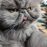 Margret Mueller - @margret.mueller.33 - Instagram