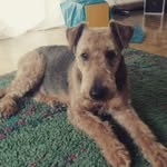 margret müller - @margretmueller_ - Instagram
