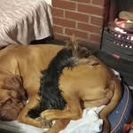 Margaret Nolan - @margaret_nolan_john - Instagram