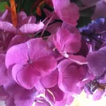 Margaret O'connor - @margaret.oconnor.739978 - Instagram