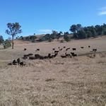 Margaret Patrick - @margaret.patrick.3745 - Instagram