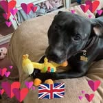 Margaret Perry - @margaret4383 - Instagram