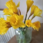 Margaret Perry - @margaretperry507 - Instagram