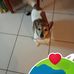 Margaret Pierce - Facebook