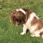 Margaret Porter - @margaret.porter.16 - Instagram