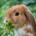 Margaret Rice - Facebook