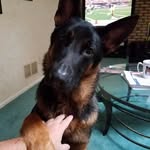 Margaret Bernardine Rush - @margaret.rush.79 - Instagram