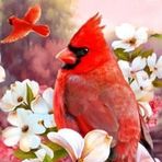 Margaret Rush - Facebook