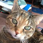 Margaret Ryan - @earthen_enchantment - Instagram