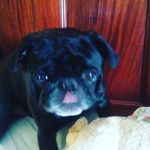 margret saunders - @margretsaunder - Instagram
