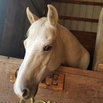 Margret Sunders - @margret.saunders - Instagram