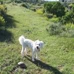 Margret Schmidt - Facebook
