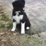 Margret Schmidt - @margret.schmidt.5205 - Instagram